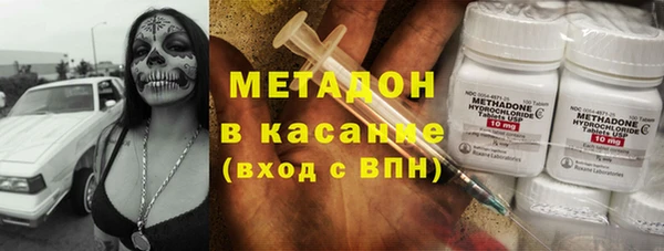 индика Богородск