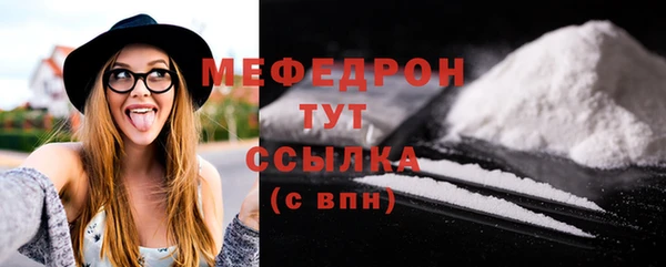 индика Богородск