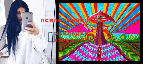 герыч Богородицк