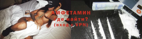 индика Богородск