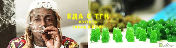 индика Богородск