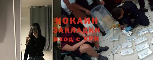 индика Богородск