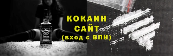 индика Богородск