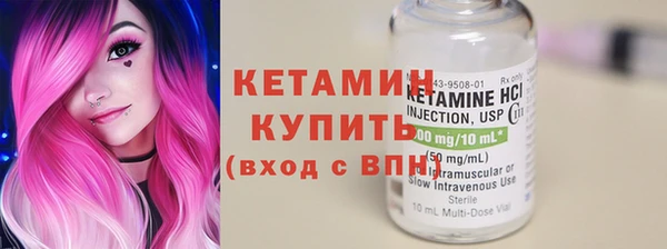 индика Богородск