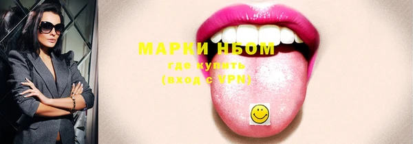 индика Богородск
