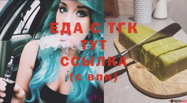 индика Богородск