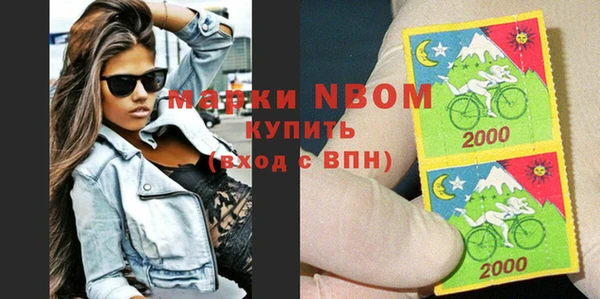 индика Богородск