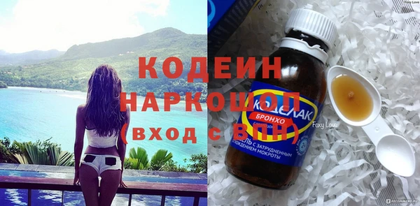индика Богородск