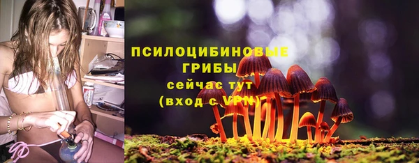 герыч Богородицк
