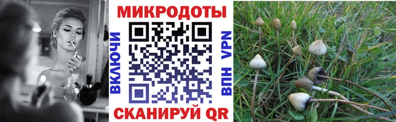 Псилоцибиновые грибы Magic Shrooms  МЕГА рабочий сайт  Коммунар  купить  сайты 